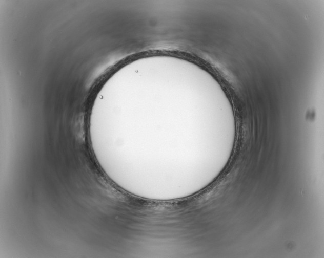X0000090411262200708101912