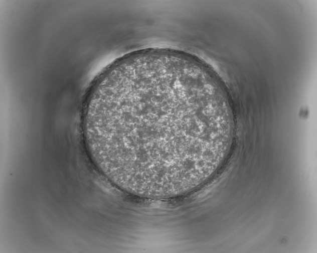 X0000090411263200708101912