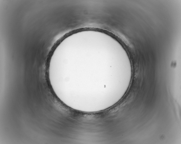 X0000090411264200708101911