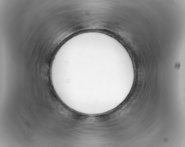 X0000090411265200708101911