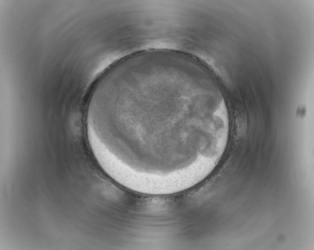 X0000090411266200708101911