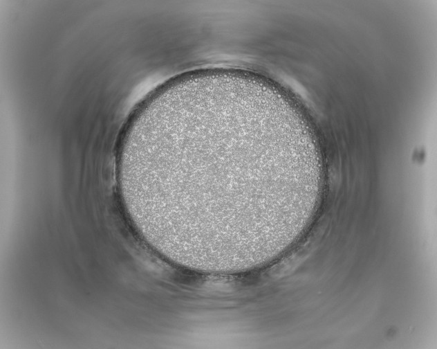 X0000090411267200708101911