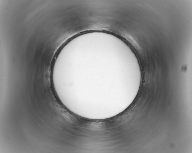 X0000090411268200708101911