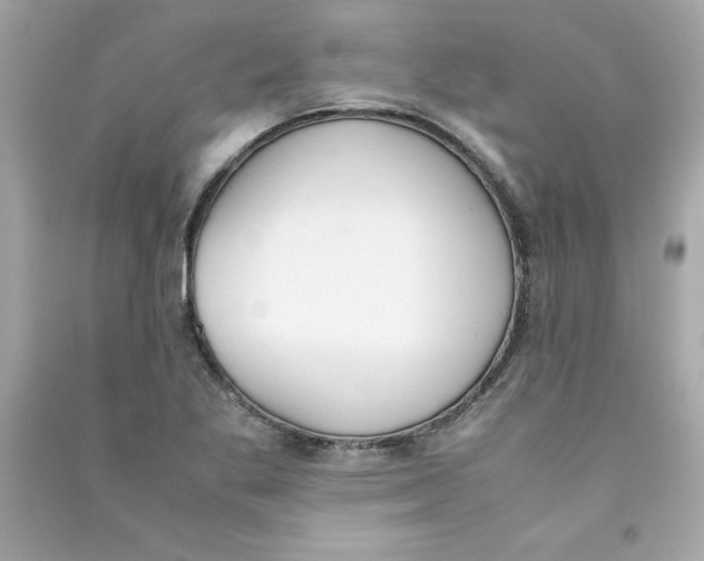 X0000090411269200708101911