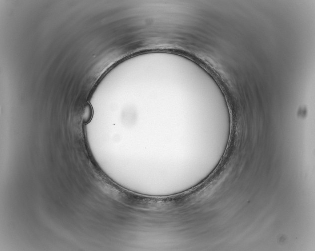X0000090411273200708101911