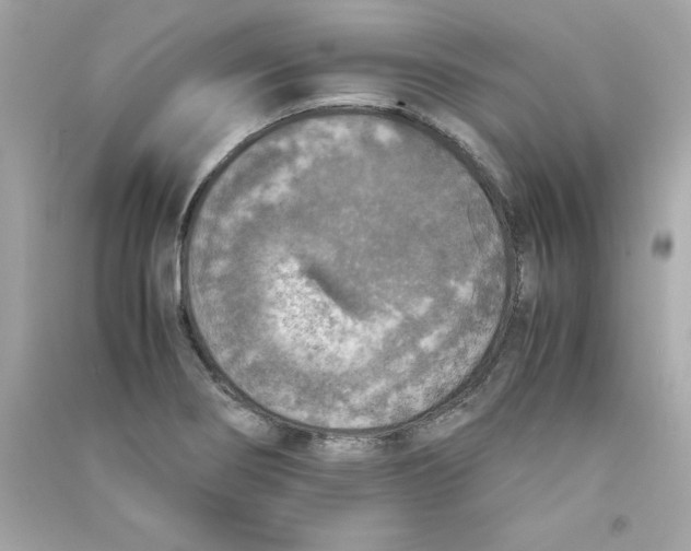 X0000090411274200708101911