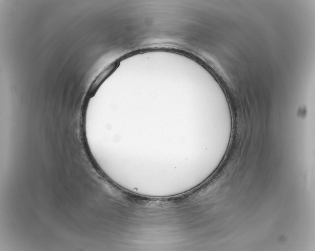 X0000090411277200708101911