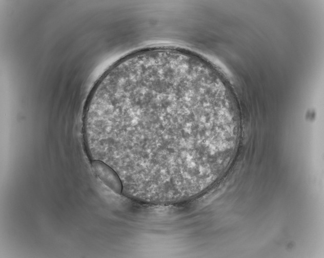 X0000090411279200708101911