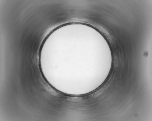 X0000090411280200708101911