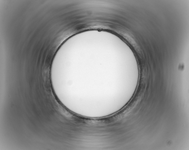 X0000090411281200708101911