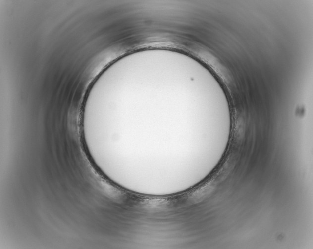 X0000090411282200708101911