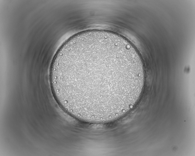 X0000090411283200708101911