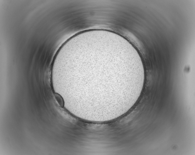 X0000090411284200708101911