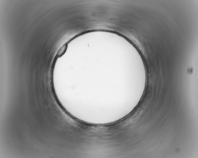 X0000090411285200708101911