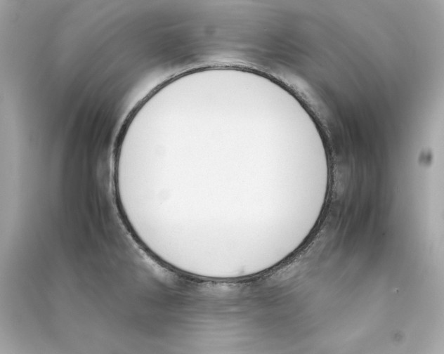 X0000090411286200708101911