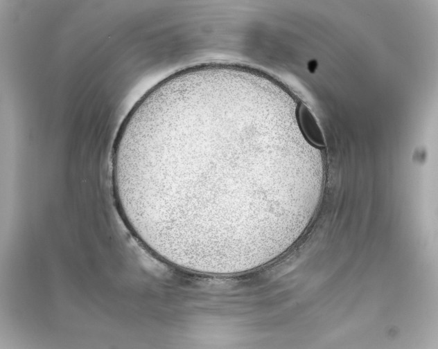 X0000090411287200708101911