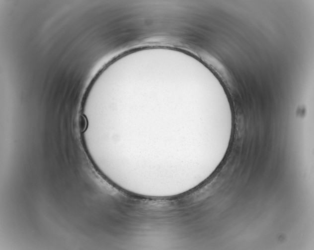 X0000090411288200708101911