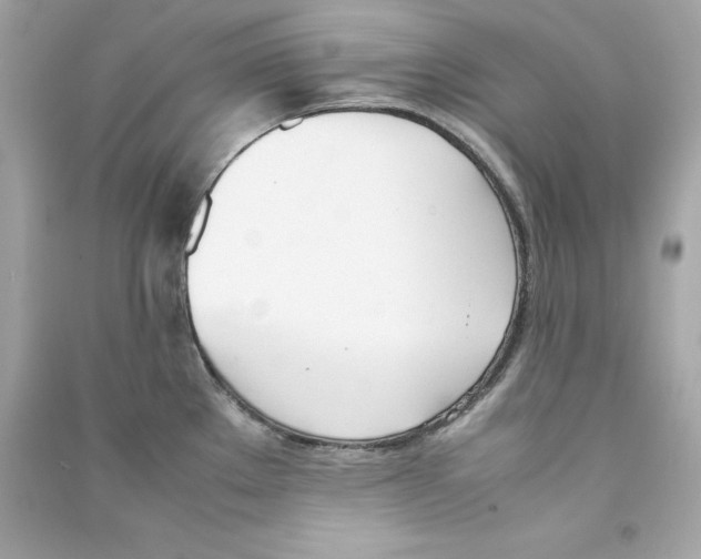 X0000090411289200708101911