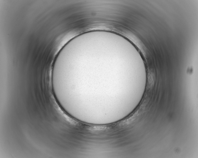 X0000090411290200708101911