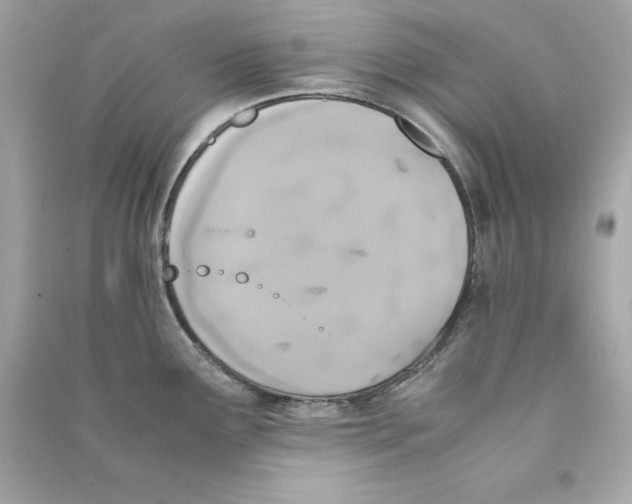 X0000090411291200708101911