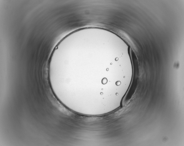 X0000090411292200708101911