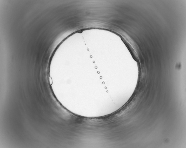 X0000090411293200708101911