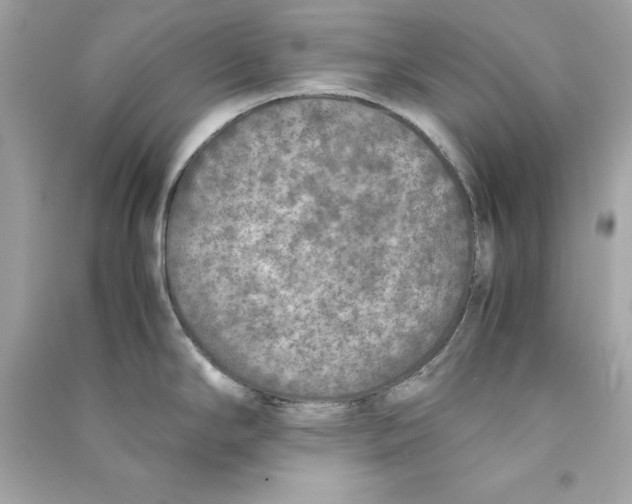 X0000090411294200708101911