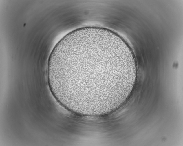 X0000090411295200708101911
