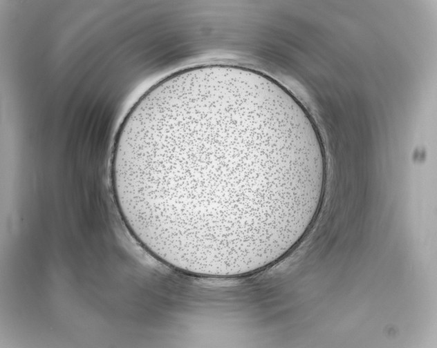 X0000090411296200708101911