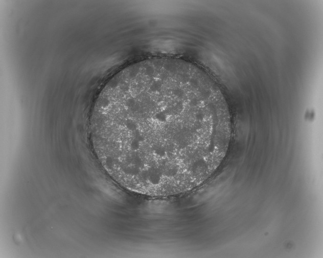 X0000090411297200708101910
