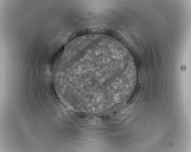 X0000090411298200708101910