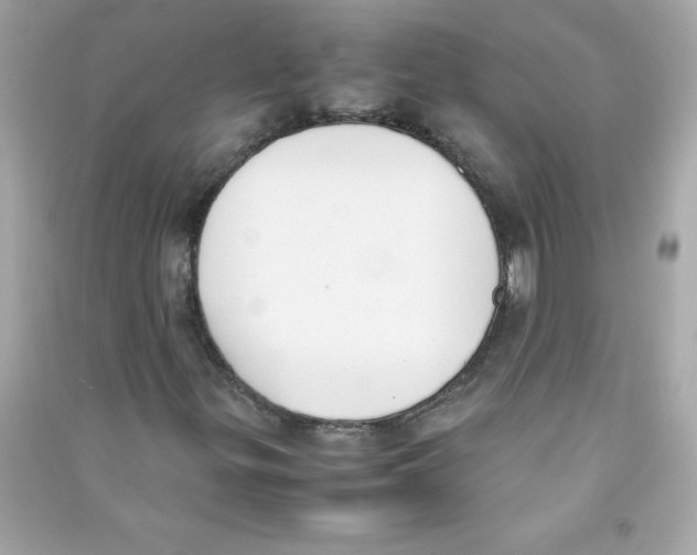 X0000090411299200708101910