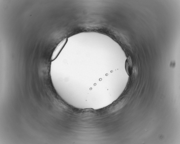 X0000090411300200708101910