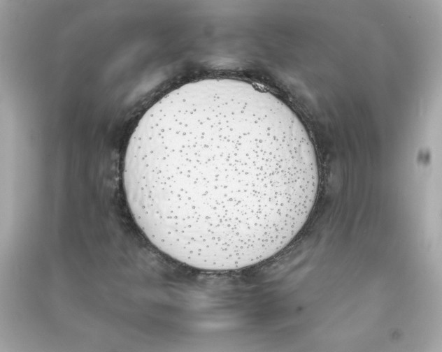 X0000090411301200708101910