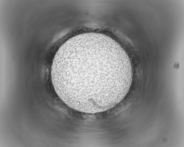 X0000090411302200708101910