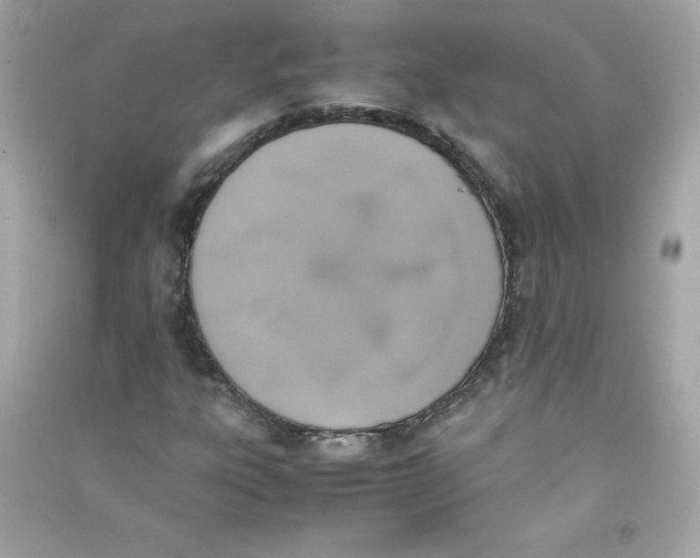 X0000090411303200708101910
