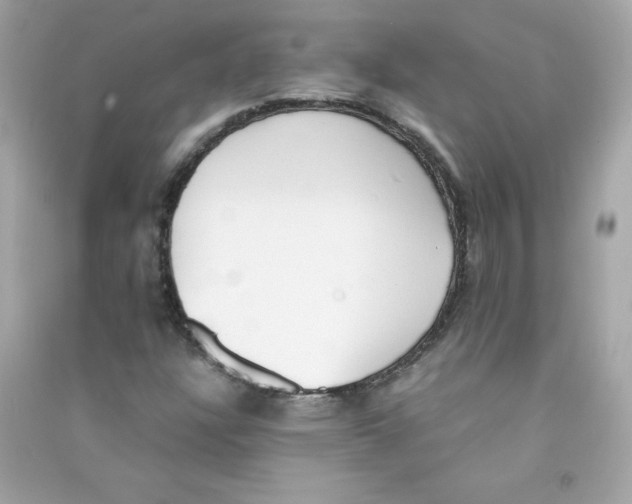 X0000090411304200708101910