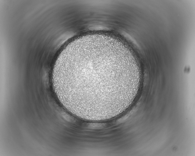 X0000090411305200708101910