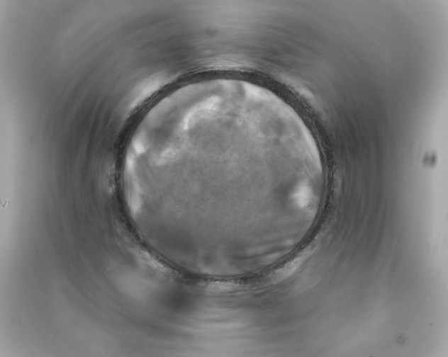 X0000090411306200708101910