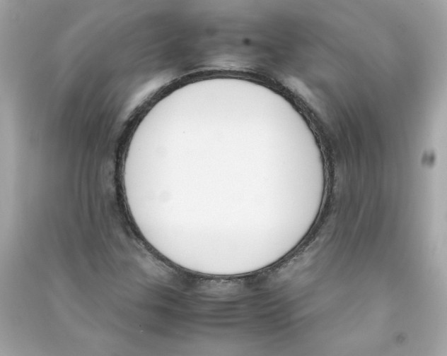 X0000090411307200708101910