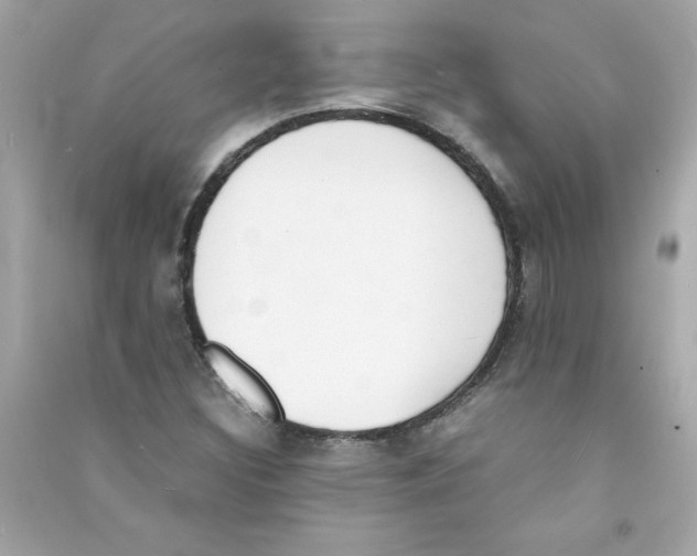 X0000090411308200708101910