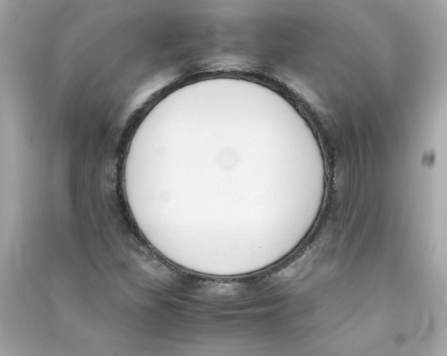 X0000090411309200708101910