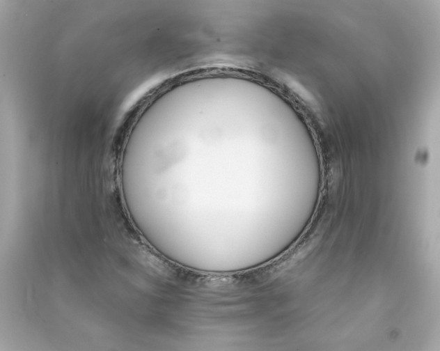 X0000090411310200708101910