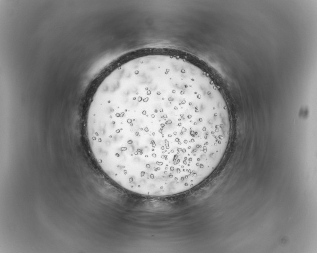 X0000090411311200708101910