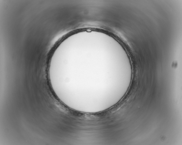 X0000090411312200708101910