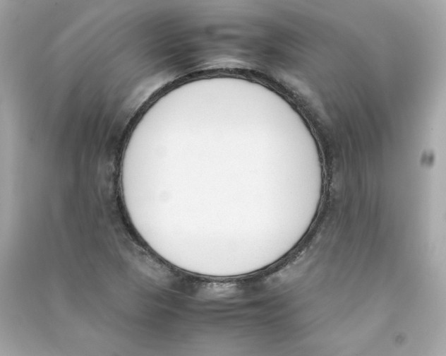 X0000090411313200708101910