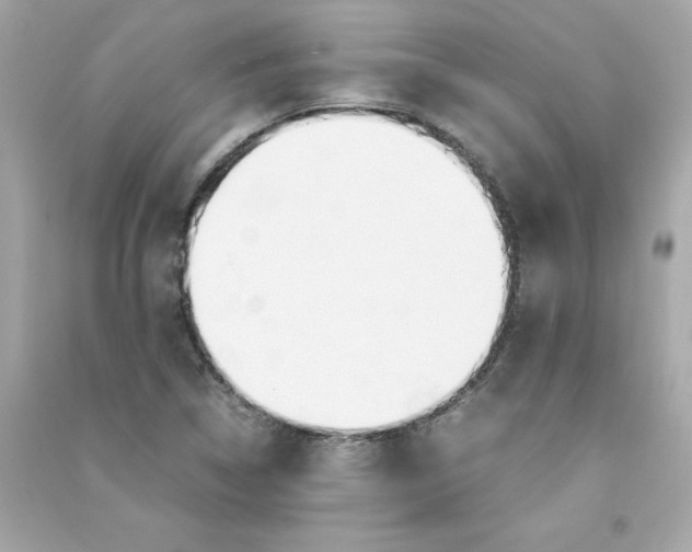 X0000090411314200708101910