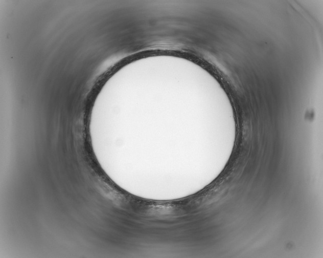 X0000090411315200708101910