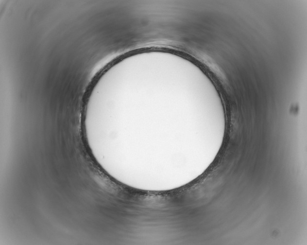 X0000090411316200708101910