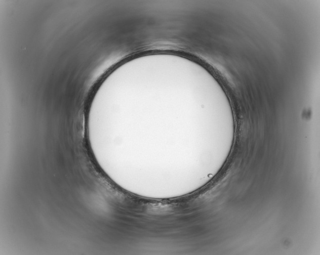 X0000090411317200708101910